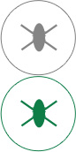 PG国际高效抗菌
