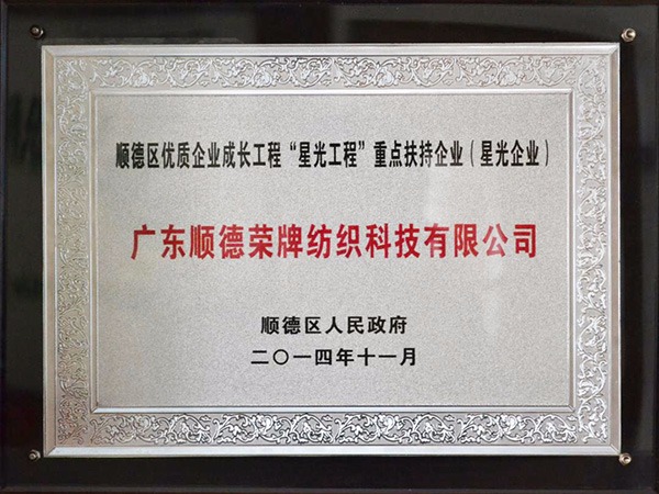 PG国际-2012年获顺德政府颁发“星光企业”称号