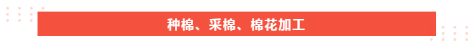 PG国际医纺