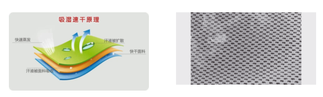 PG国际医用纺织
