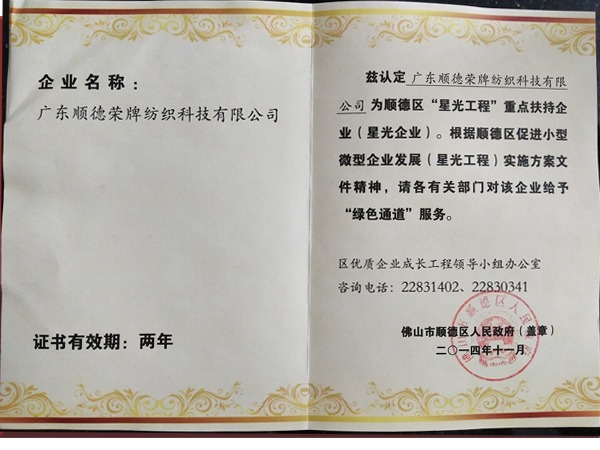 PG国际荣获政府重点扶持企业
